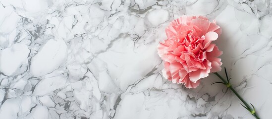 Aufkleber - Top view of a delicate pink carnation on a bright white marble surface representing a Mother s Day floral present with a clear copy space image