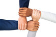 © Rawpixel.com - Png Diverse hands united mockup business teamwork gesture