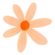 © Rawpixel.com - Orange daisy png sticker, cute flower clipart