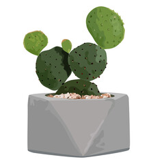 Canvas Print - Cactus plant PNG sticker transparent background