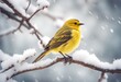 © wafi - branch covered nature treebranch yellow small generated perched snow bird ai illustration wildlife animal