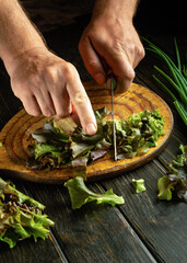 Sticker - The chef prepares a salad of greens and vegetables on the kitchen table.