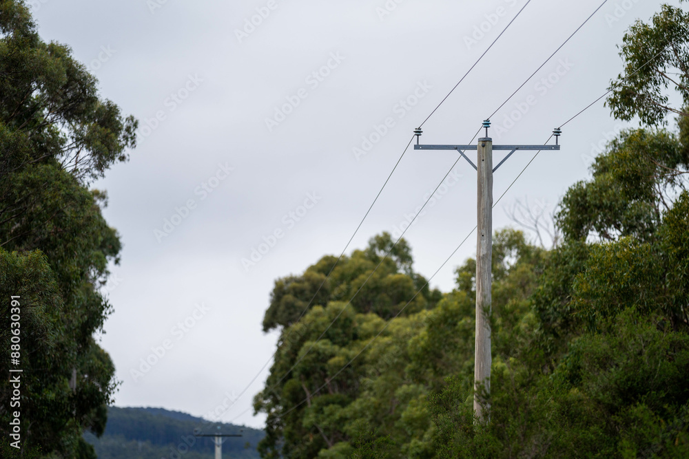 power poles and power lines in the forest being a fire risk Stock Photo ...