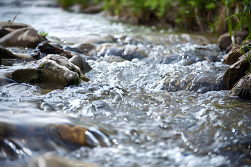 Poster - A stream with clean, flowing water