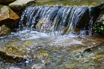 Poster - A stream with clean, flowing water