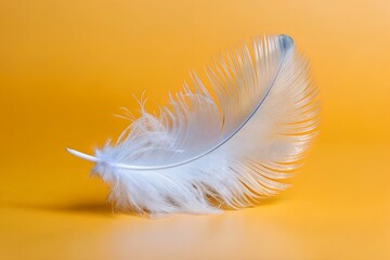 white feather on yellow background