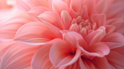 Poster - A detailed look at a pink flower with intricate petals and center