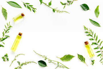 Wall Mural - Natural herbal essential oil in glass bottles and green fresh herbs