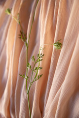 Wall Mural - pastel background made of fabric and wild plants