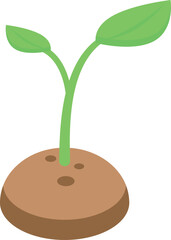 Poster - Small plant with green leaves is growing from the brown ground