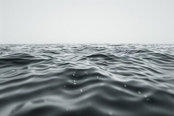 Poster - A serene black and white photo of a body of water, perfect for use in nature-themed designs or as a symbol of calmness