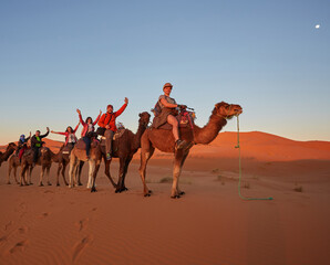 Wall Mural - desert safari adventure in morocco