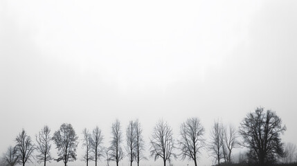 Wall Mural - a row of trees are lined up in a field