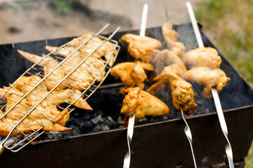 Blurred delicious chicken wings barbecue on hot grill. Chicken legs and wings are fried on coals in a brazier in a barbecue grill