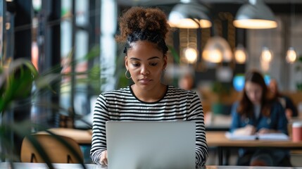 Wall Mural - The woman using laptop