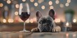 © Anastasiia - French Bulldog Doll Quirky Decor for Bars, Pet Websites, and Social Media. Concept French Bulldog, Doll, Quirky Decor, Bars, Pet Websites, Social Media