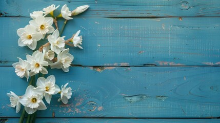 Poster - Close up view of white daffodils on vintage blue wood with space for text