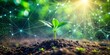 © NorthStar Creations - Growth and Connection A Single Plant Emerging from the Soil with a Digital Network in the Background, plant , growth , network , technology