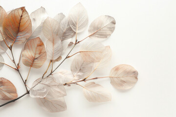 Wall Mural - Beautiful leaf watercolor botanical background in pastel colors