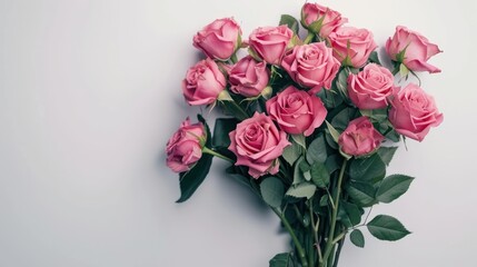 Poster - Beautiful bouquet of pink roses is arranged in white background