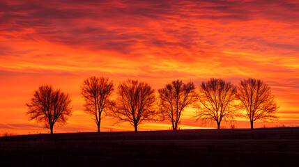 Wall Mural - a sunset over a field with four trees in the foreground
