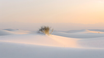 Wall Mural - A desert landscape with a beautiful sunset in the background