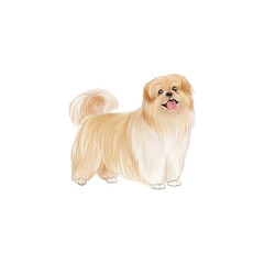 Illustrated dog sketch design