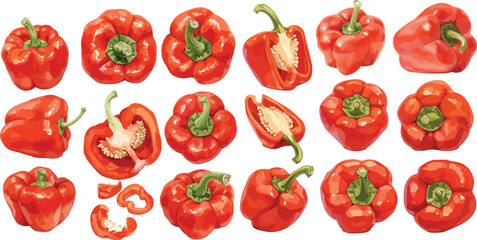 Canvas Print - bell pepper watercolor clipart