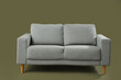 © Pixel-Shot - Cozy grey sofa on green background