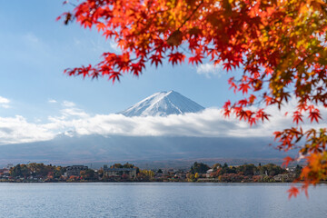 Wall Mural - mount fuji and lake kawaguchiko in autumn season, yamanashi prefecture, japan