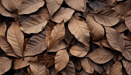 Wall Mural - dried leaf, autumn, fall