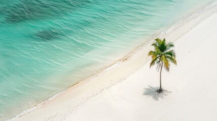 Wall Mural - White sand beach, turquoise water, palm trees