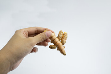 Human hand is holding turmeric. Turmeric is a typical Indonesian spice. isolated on white background.