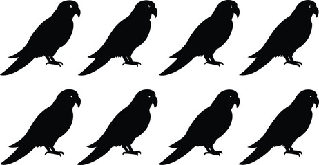 Wall Mural - 
parrot silhouettes, Parrot birds silhouette vector set
