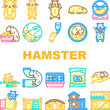 © sevector - hamster hamster cute app pet coin icons set vector. rodent funny, syrian adorable, guinea bedding, animal little hamster hamster cute app pet coin color line illustrations