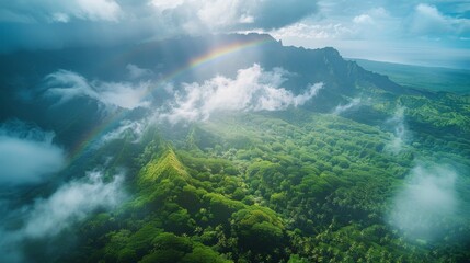 Poster - Misty sunny morning with rainbow and mountains above the jungle.