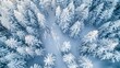 © Yusif - Ski tracks winding through a winter forest. Aerial view of snow-covered larch trees in the morning, showcasing the beauty of northern nature and promoting ecological tourism in the woodland.