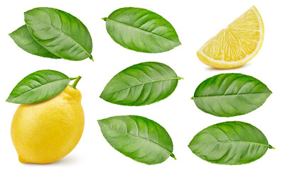 Lemon isolated on white background