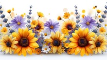 Sunflower Flower Yellow Blossom Free Stock Photo - Public Domain Pictures