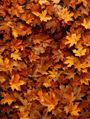 Wall Mural - Close up of pile of autumn leaves