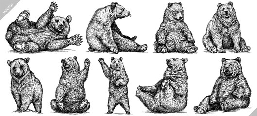 vintage engrave isolated black bear set illustration ink sketch. american grizzly background asian a