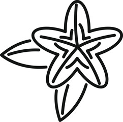 Poster - Line drawing of a carambola fruit growing on a branch