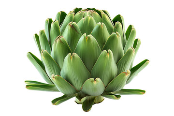 Sticker - Green artichoke with a purple base is isolated on a white background.