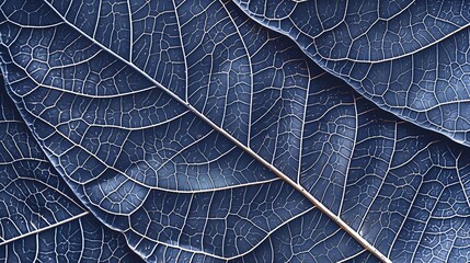 Poster - Natural macro leaves as minimal style abstract nature pattern veins of leaf textured foliage close up peach fuzz trend color 2024 year vertical monochrome background Aesthetic nature m : Generative AI