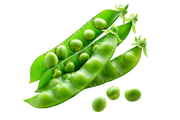 Wall Mural - Fresh green peas with leaves in open pods isolated on a white background.