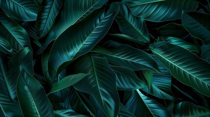 Aufkleber - Dark green leaf texture Natural green leaves using as nature background wallpaper or tropical leaf cover page : Generative AI