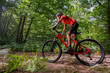 © Sergey Novikov - Adventurous cyclist kid navigating a forest path on red bike