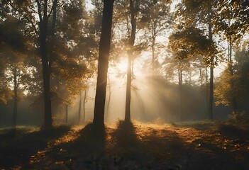 Wall Mural - AI generated illustration of sunlight filtering through trees in a forest during early morning