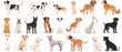 © niti - Dogs in various poses, pure white background, minimalist style, simple lines, soft colors