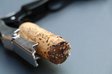 Poster - tartrate crystals on a wine cork in a corkscrew (text on cork reads fine alsace wines which is a regional  description)